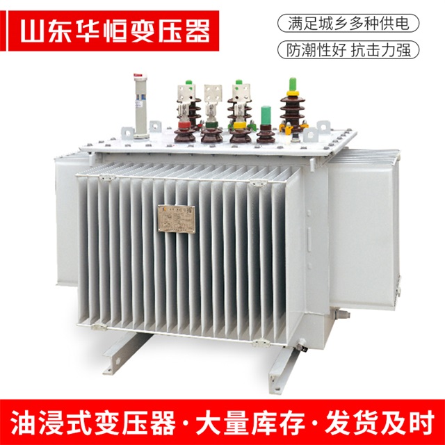S13-10000/35滨湖滨湖滨湖电力变压器
